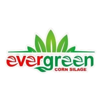 Evergreen Logo